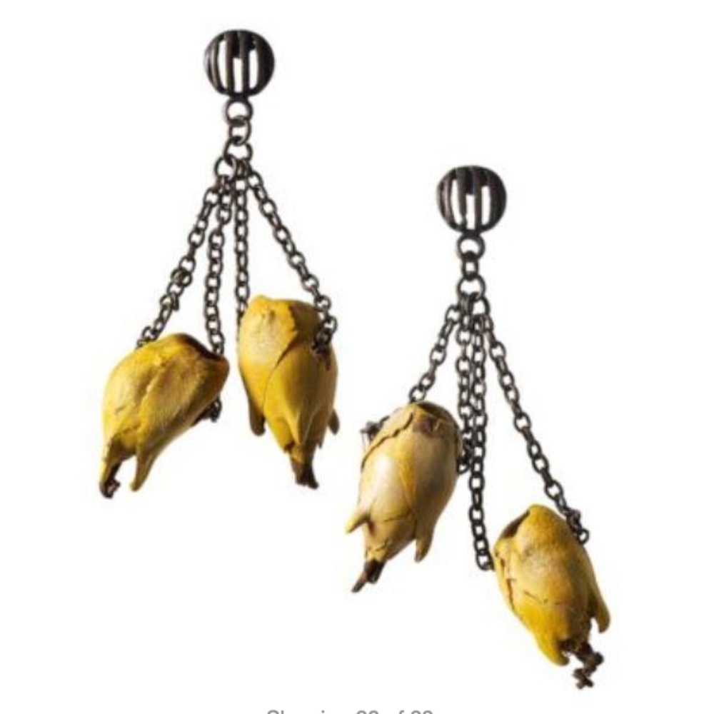 Natural REAL SEED POD Dangle Earrings